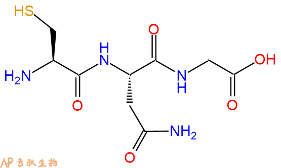 专肽生物产品三肽Cys-Asn-Gly