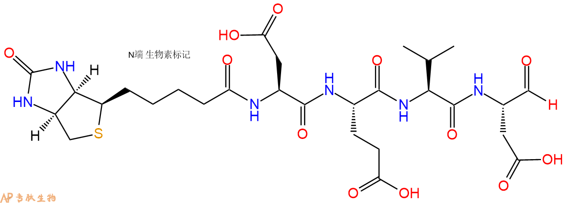 专肽生物产品Caspase 3 (Apopain) Inhibitor 1b178603-73-1