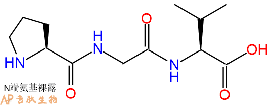 专肽生物产品三肽Pro-Gly-Val