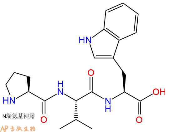 专肽生物产品三肽Pro-Val-Trp