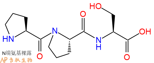 专肽生物产品三肽Pro-Pro-Ser