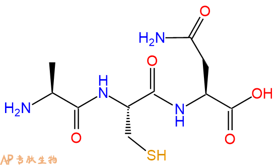 专肽生物产品三肽Ala-Cys-Asn