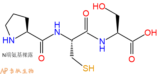 专肽生物产品三肽Pro-Cys-Ser