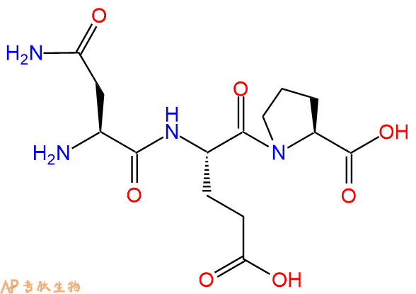 专肽生物产品三肽Asn-Glu-Pro