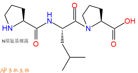 专肽生物产品三肽Pro-Leu-Pro