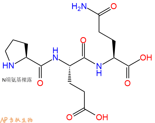 专肽生物产品三肽Pro-Glu-Gln