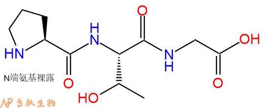 专肽生物产品三肽Pro-Thr-Gly