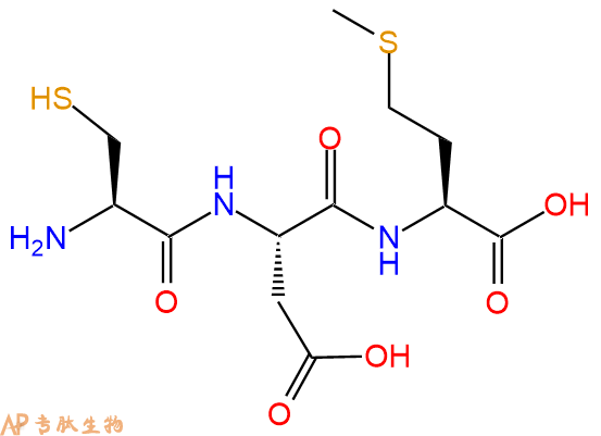 专肽生物产品三肽Cys-Asp-Met