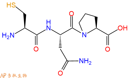 专肽生物产品三肽Cys-Asn-Pro