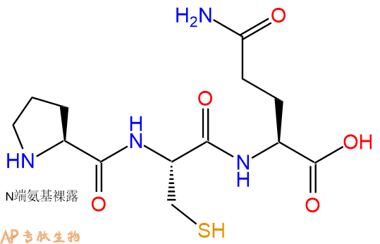 专肽生物产品三肽Pro-Cys-Gln
