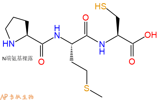 专肽生物产品三肽Pro-Met-Cys