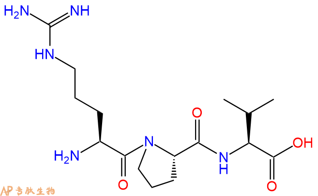 专肽生物产品三肽Arg-Pro-Val