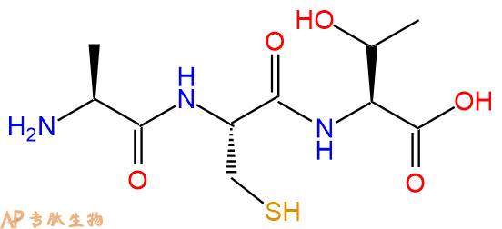 专肽生物产品三肽Ala-Cys-Thr