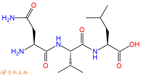 专肽生物产品三肽Asn-Val-Leu