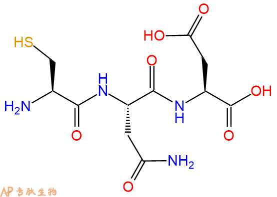 专肽生物产品三肽Cys-Asn-Asp
