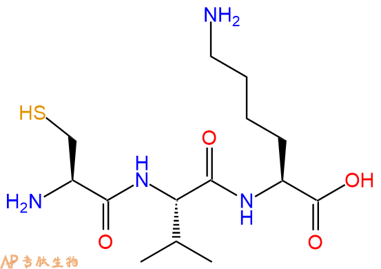 专肽生物产品三肽Cys-Val-Lys