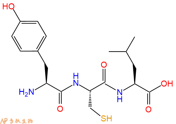 专肽生物产品三肽Tyr-Cys-Leu