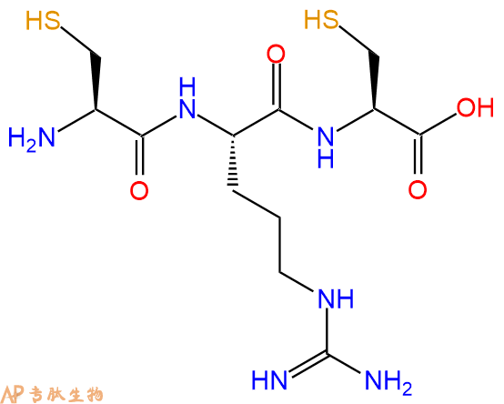 专肽生物产品三肽Cys-Arg-Cys