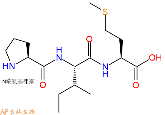 专肽生物产品三肽Pro-Ile-Met