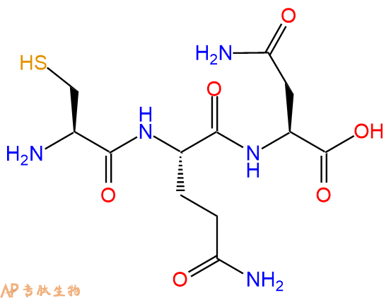 专肽生物产品三肽Cys-Gln-Asn
