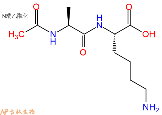 专肽生物产品二肽Ac-Ala-Lys