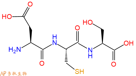 专肽生物产品三肽Asp-Cys-Ser