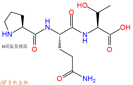 专肽生物产品三肽Pro-Gln-Thr