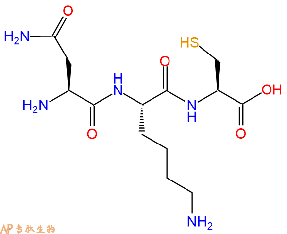专肽生物产品三肽Asn-Lys-Cys