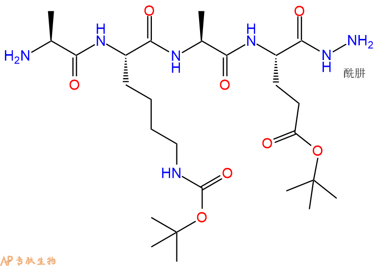 专肽生物产品四肽Ala-Lys(Boc)-Ala-Glu(OtBu)-NH-NH253665-77-3