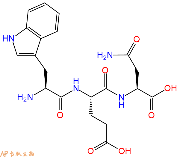 专肽生物产品三肽Trp-Glu-Asn