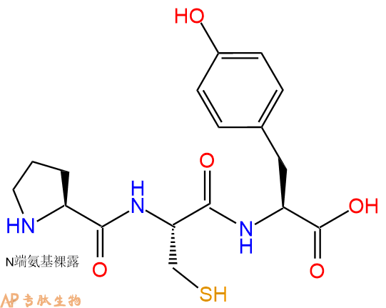 专肽生物产品三肽Pro-Cys-Tyr