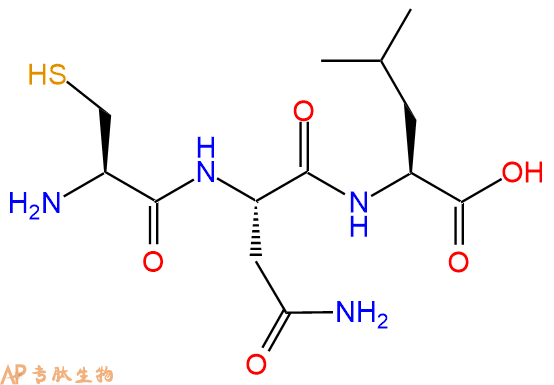 专肽生物产品三肽Cys-Asn-Leu