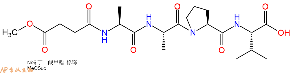 专肽生物产品四肽MEOSuc-Ala-Ala-Pro-Val107441-48-5