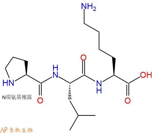 专肽生物产品三肽Pro-Leu-Lys