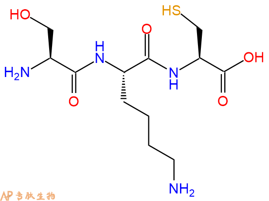 专肽生物产品三肽Ser-Lys-Cys