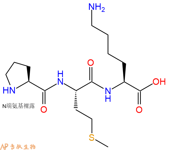 专肽生物产品三肽Pro-Met-Lys