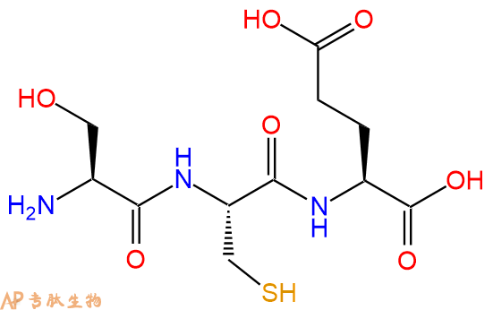 专肽生物产品三肽Ser-Cys-Glu