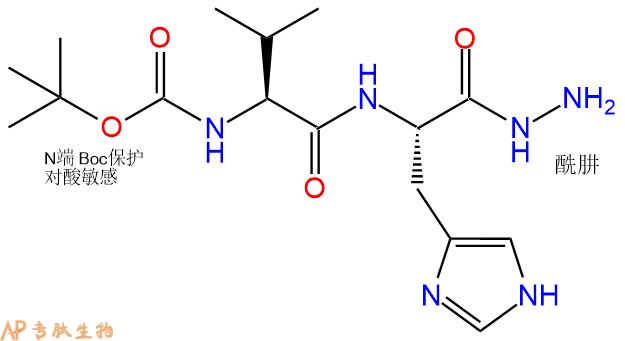 专肽生物产品二肽Boc-Val-His-NH-NH295303-20-1