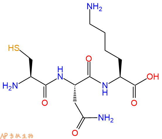 专肽生物产品三肽Cys-Asn-Lys