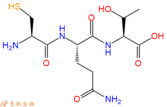 专肽生物产品三肽Cys-Gln-Thr