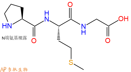 专肽生物产品三肽Pro-Met-Gly
