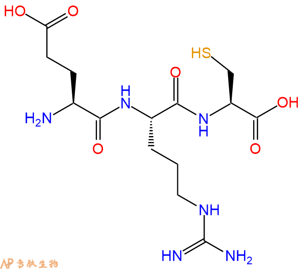 专肽生物产品三肽Glu-Arg-Cys
