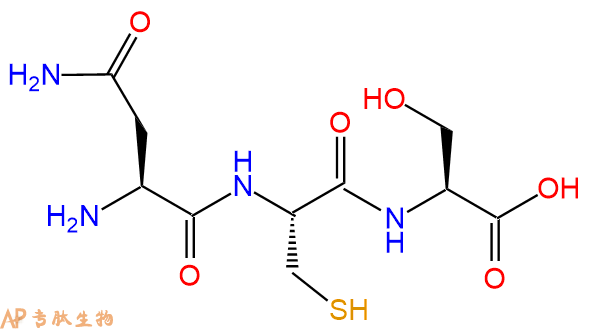 专肽生物产品三肽Asn-Cys-Ser