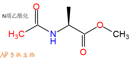 专肽生物产品N-乙酰基-L-丙氨酸甲酯2/1/3619