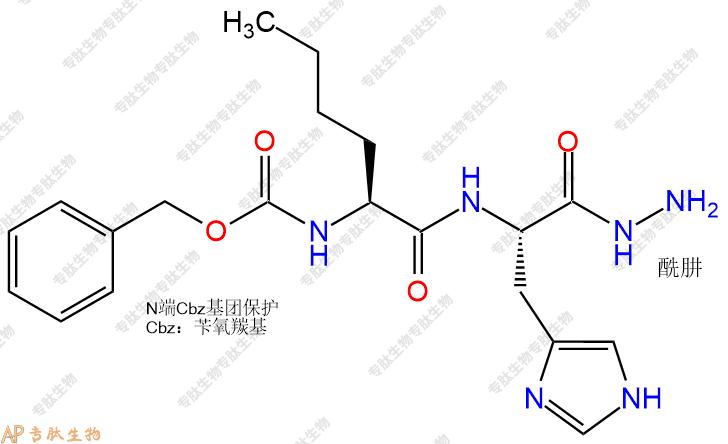 专肽生物产品二肽Cbz-Nle-His-N2H3133389-14-7