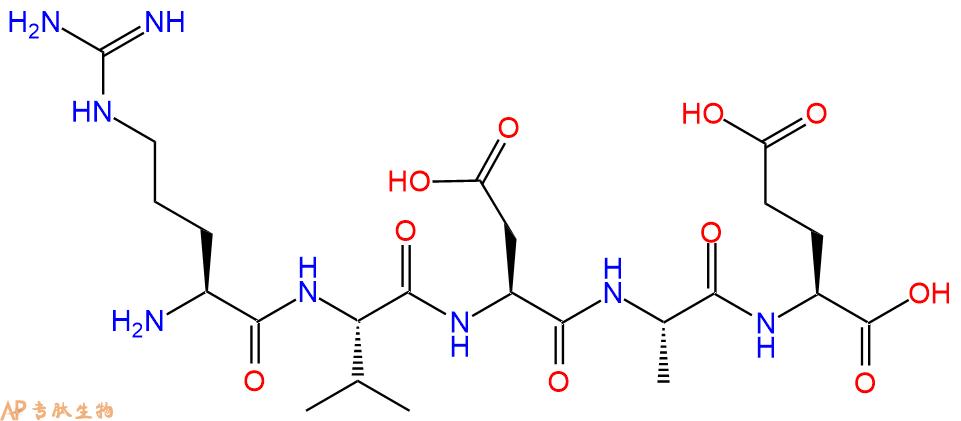 专肽生物产品五肽Arg-Val-Asp-Ala-Glu250741-56-1