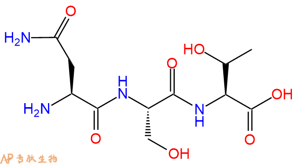 专肽生物产品三肽Asn-Ser-Thr