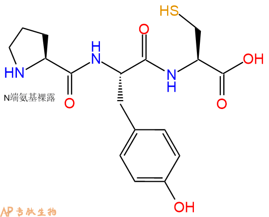 专肽生物产品三肽Pro-Tyr-Cys