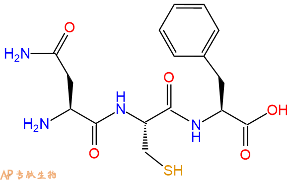 专肽生物产品三肽Asn-Cys-Phe
