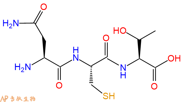 专肽生物产品三肽Asn-Cys-Thr